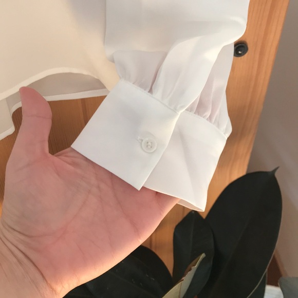 White Sheer Blouse - Picture 5 of 5